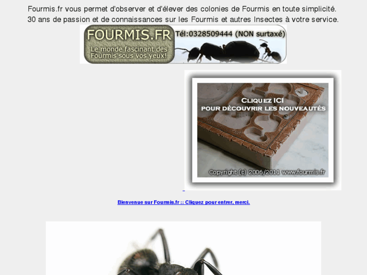 www.fourmis.fr