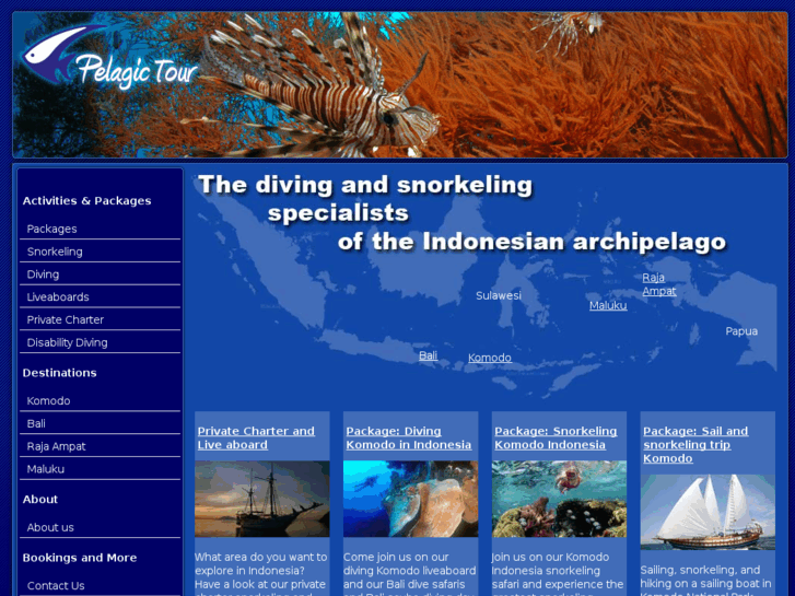 www.handicappeddiving.com