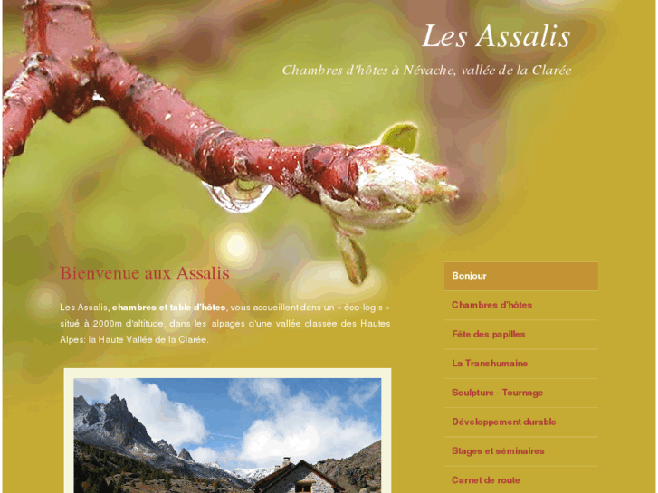 www.les-assalis.com