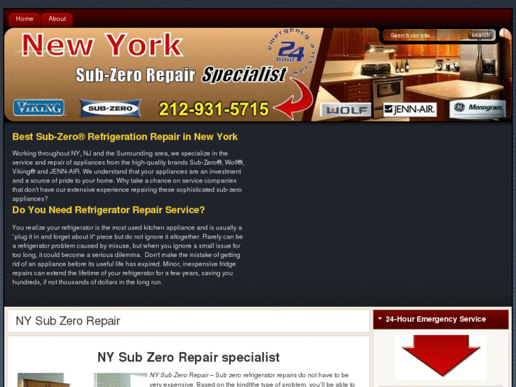 www.nysubzerorepair.com