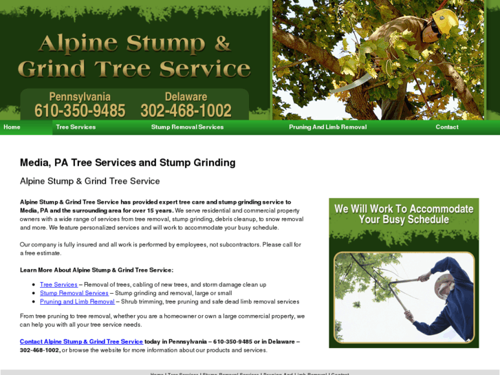 www.alpinestump.com