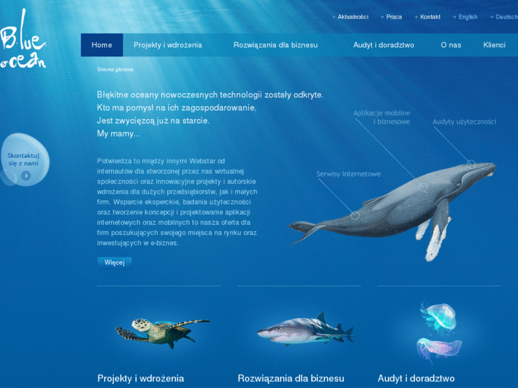 www.blueocean.pl