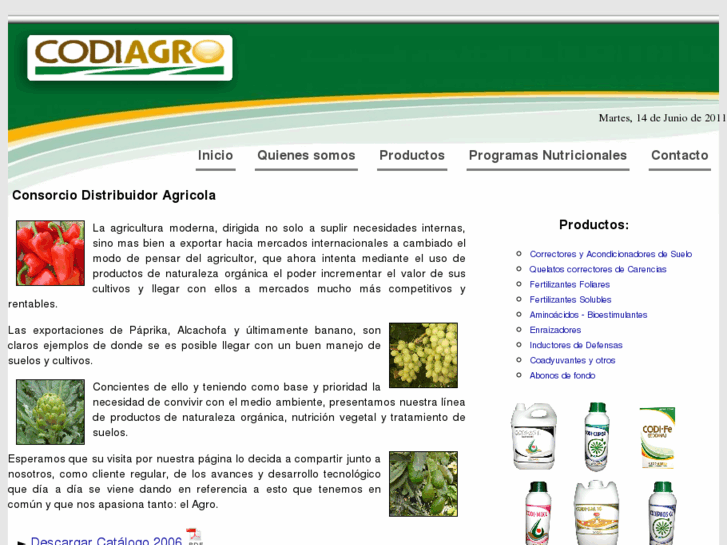 www.codiagroperu.com