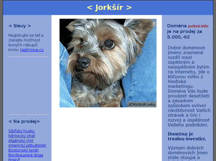 www.jorksir.info