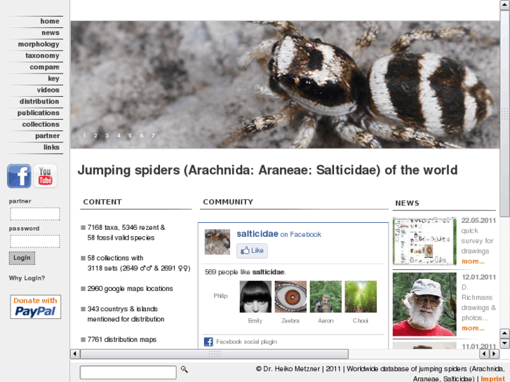 www.jumping-spiders.com