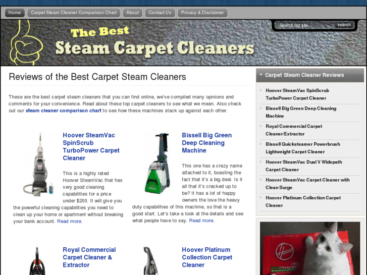 www.thebestcarpetsteamcleaners.com