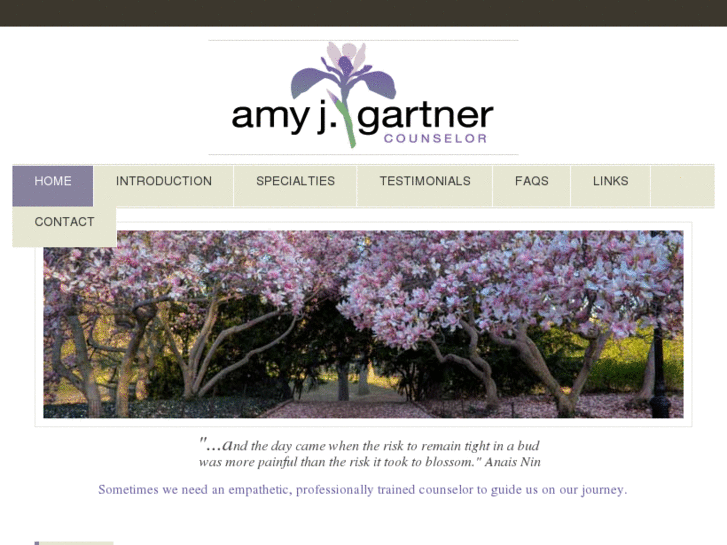 www.amyjgartnerlcsw.com