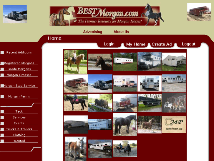 www.bestmorgan.com