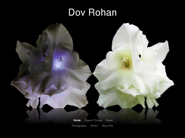 www.dovrohan.com