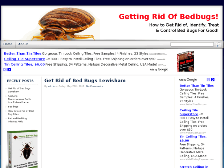 www.gettingridofbedbugs.info