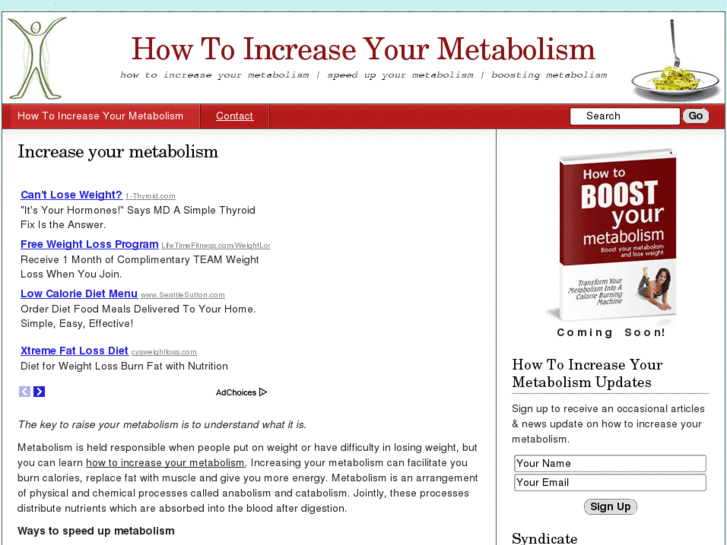 www.howtoincreaseyourmetabolism.net