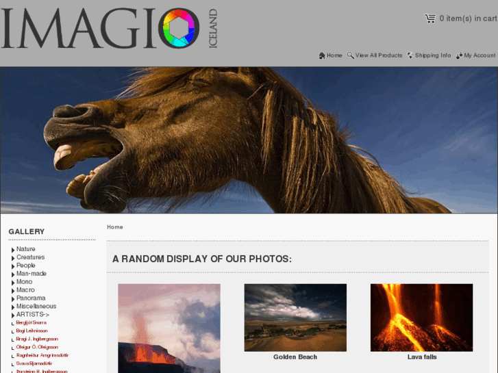 www.imagio.is
