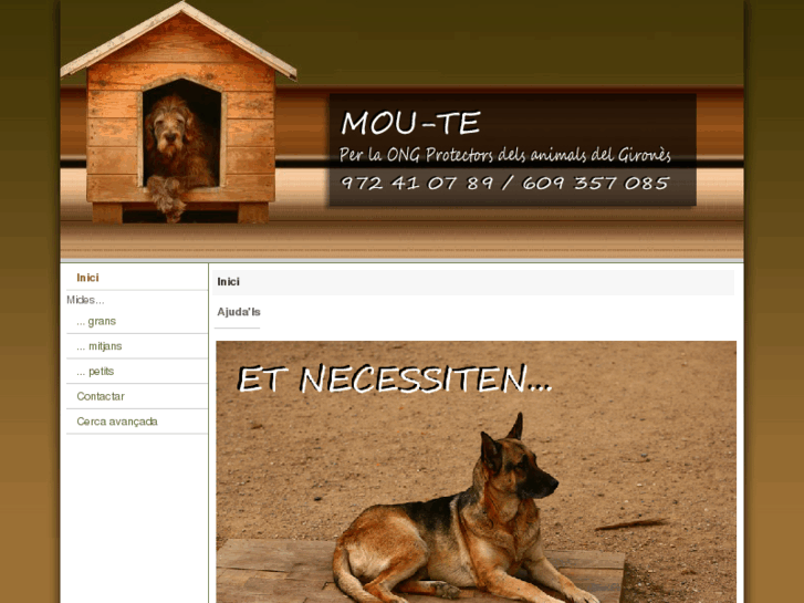 www.mou-te.com