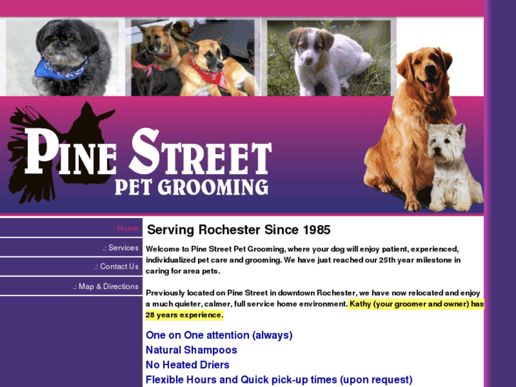 www.pinestreetpetgrooming.com