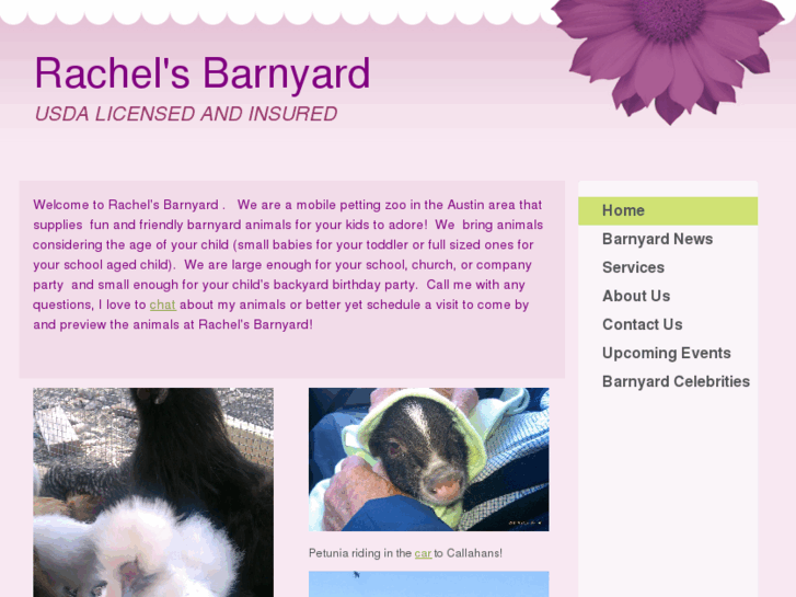 www.rachelsbarnyard.com