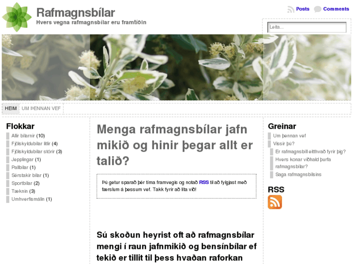 www.rafmagnsbilar.net