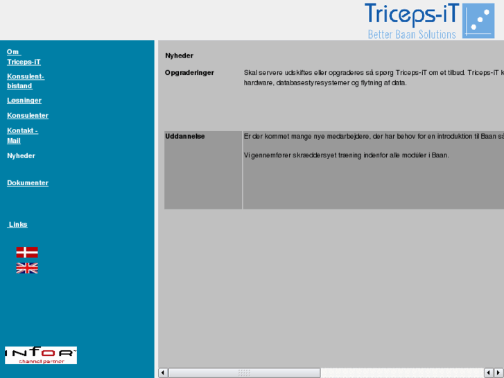 www.triceps-it.com