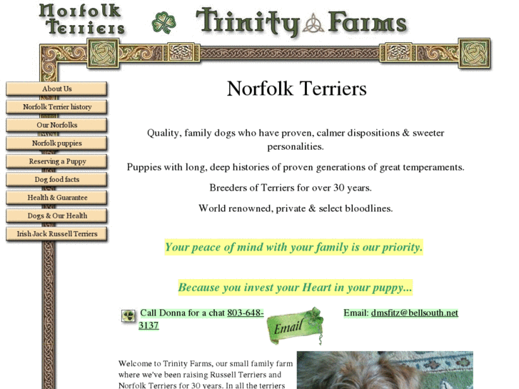 www.norfolk-terriers.com