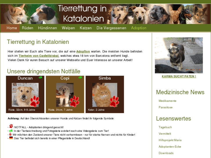 www.tierrettung-in-katalonien.org