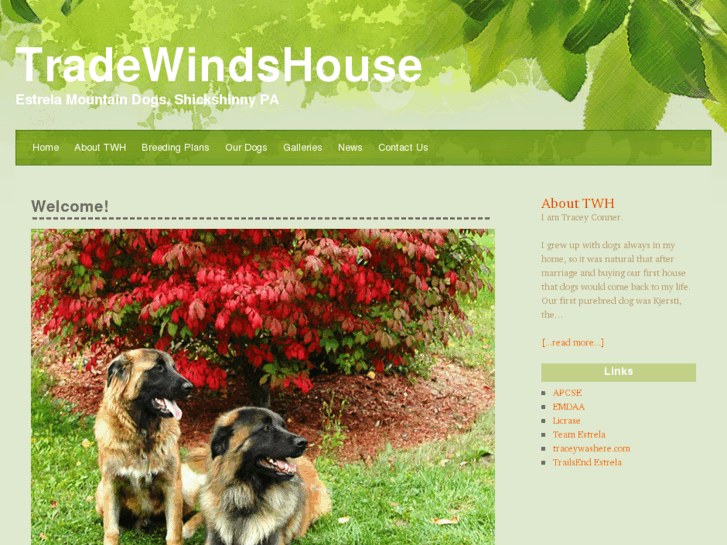 www.tradewindshouse.com