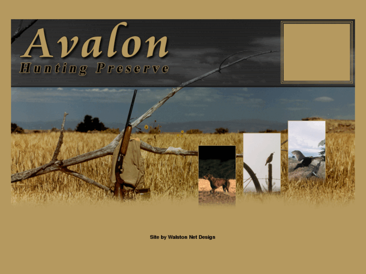 www.avalonhunt.com