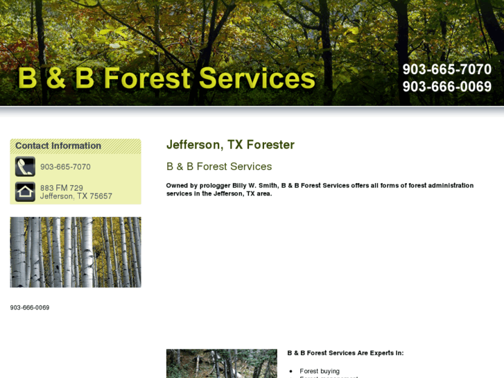 www.bandbforest.com