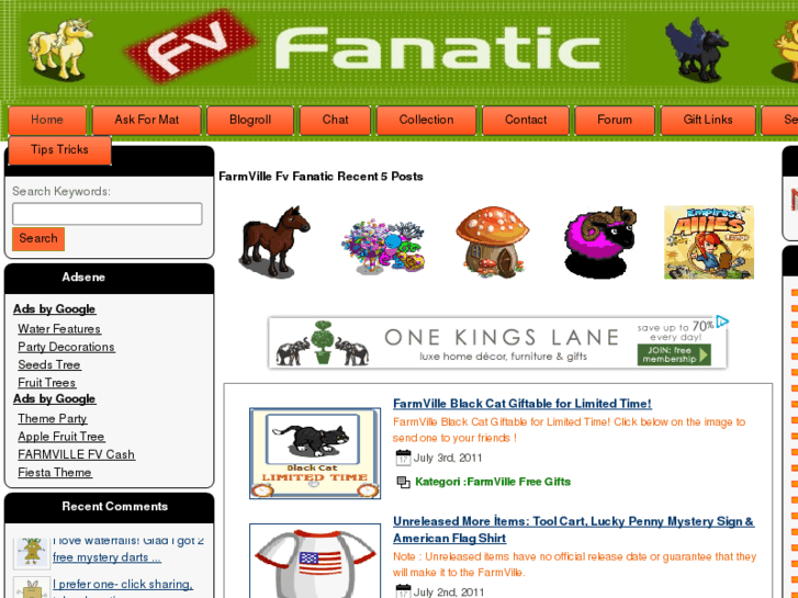 www.fvfanatic.net