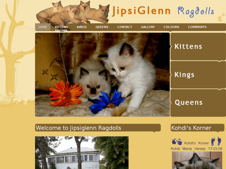 www.jipsiglennragdolls.com