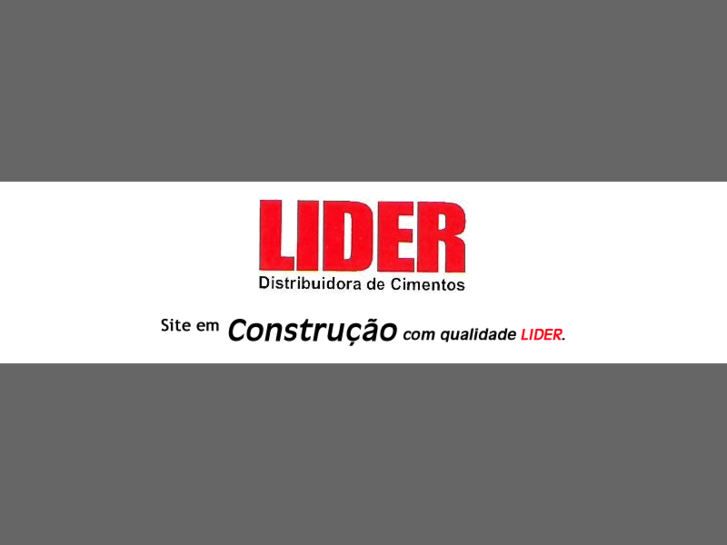 www.lidercimentos.com