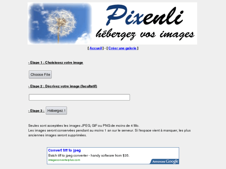 www.pixenli.com