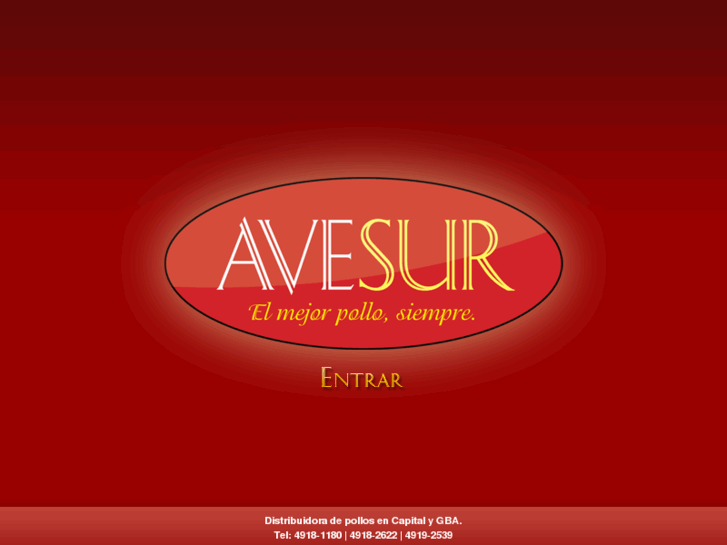 www.avesur.com