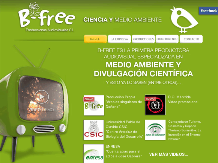 www.bfree.es