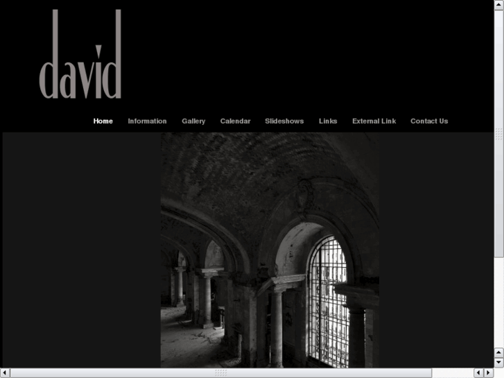 www.davidbogdan.com
