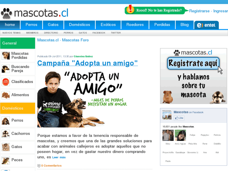 www.mascotas.cl