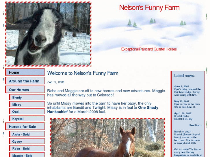 www.nelsonsfunnyfarm.com