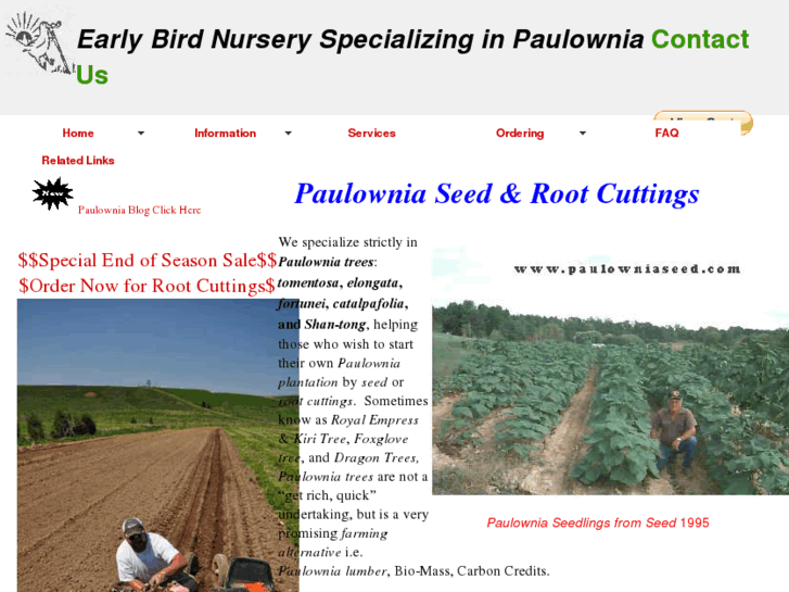 www.paulowniaseed.com