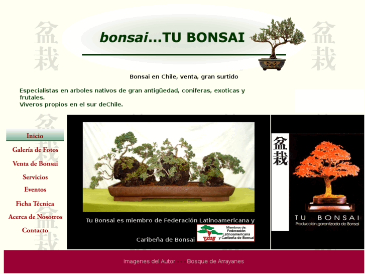 www.tubonsaichile.com