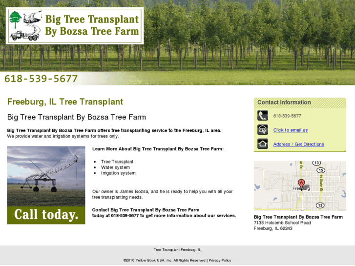 www.bigtreetransplant.net