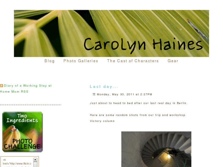 www.carolyn-haines.com