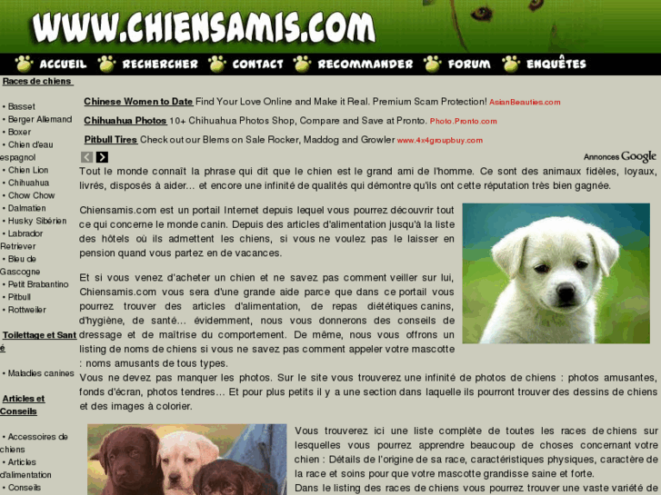 www.chiensamis.com