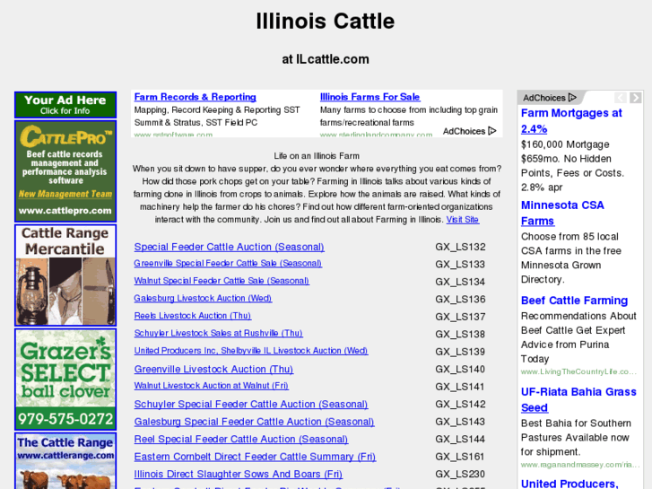 www.ilcattle.com