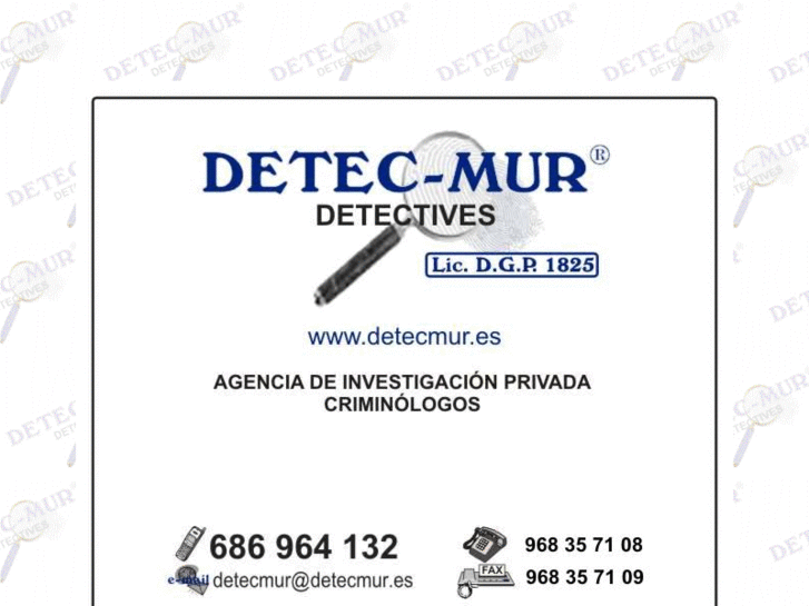 www.detecmur.es