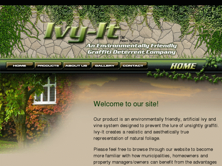 www.ivy-it.com