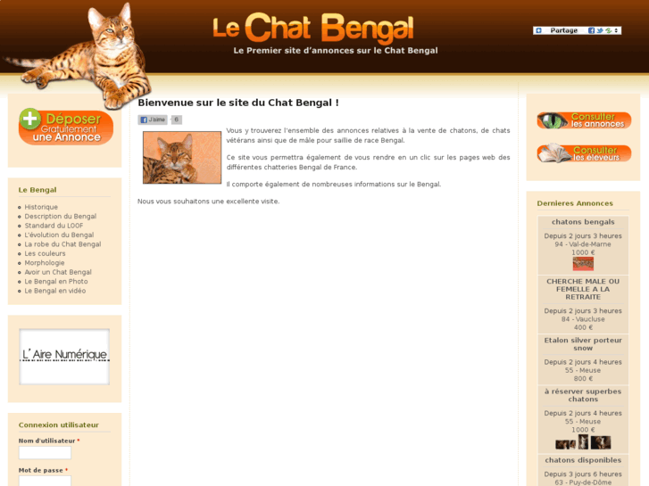 www.lechatbengal.fr