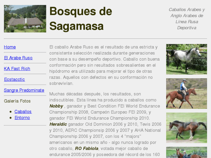 www.sagamasa.com