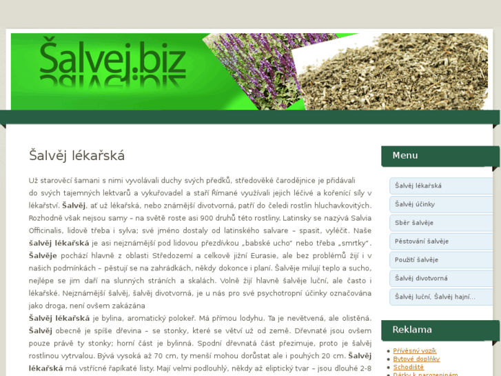 www.salvej.biz