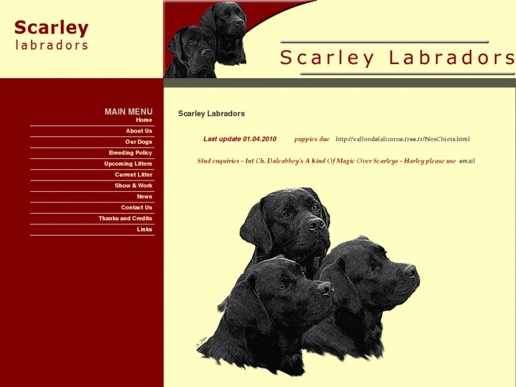 www.scarleylabradors.com