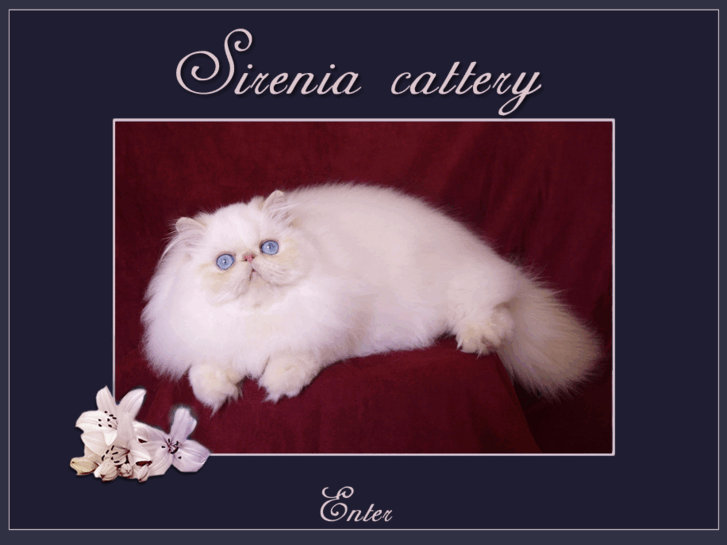www.sireniacats.com