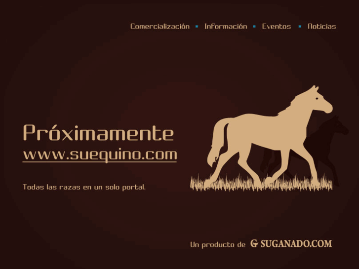 www.suequino.com