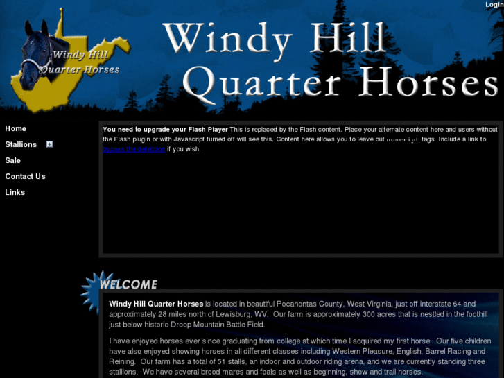 www.windyhillquarterhorses.com